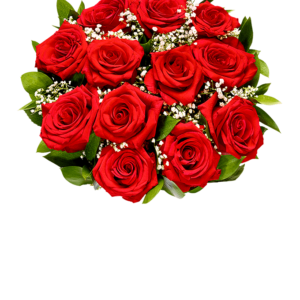 One dozen red roses